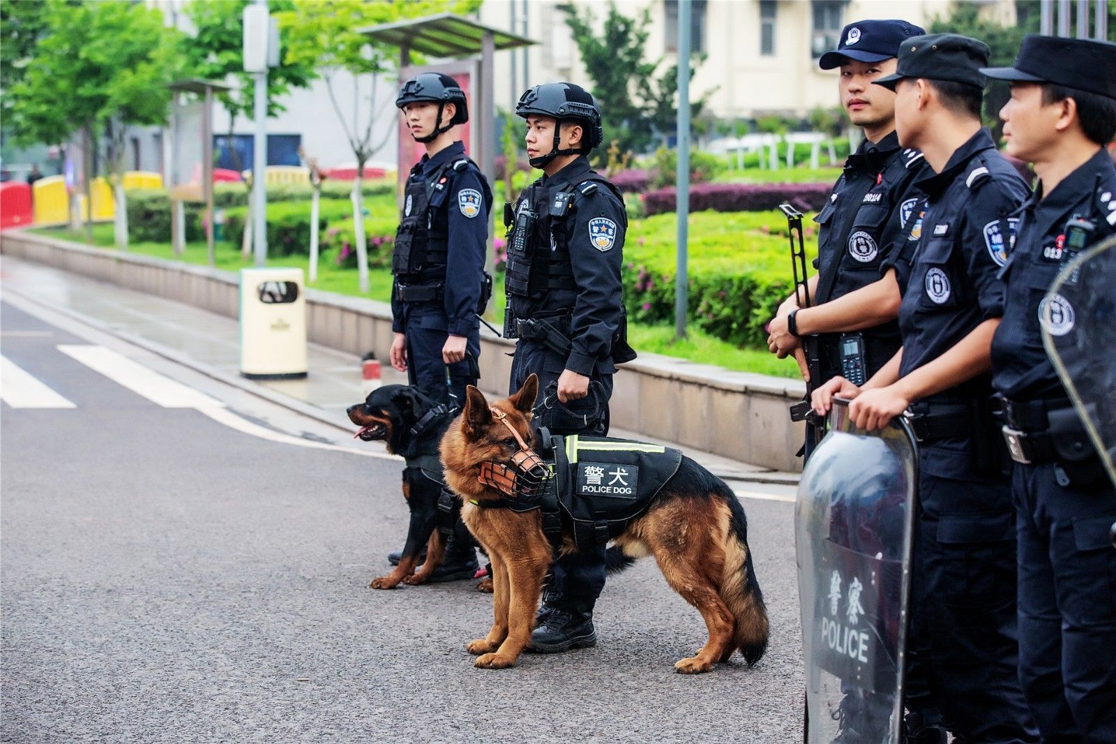 湖南k8·凯发体育管理有限公司